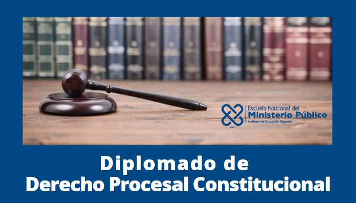 G-4 Derecho Procesal Constitucional  