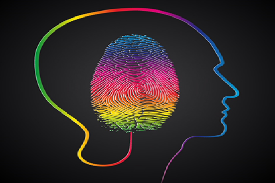 ACTUALIZACIÓN Y VERIFICACIÓN DE LA IMPLEMENTACIÓN DE INFORMES PERITAJES PSICOLÓGICOS FORENSE