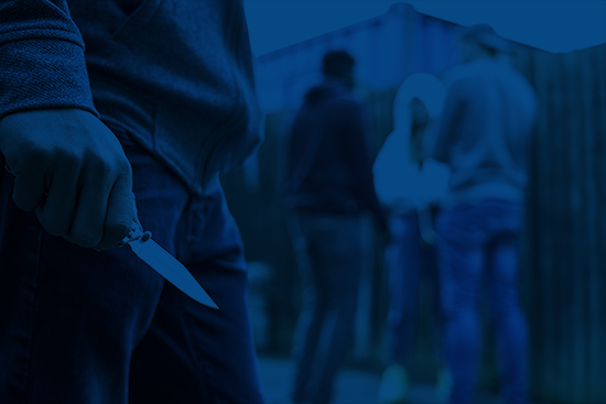 G2-Curso en Criminología de la Violencia Interpersonal