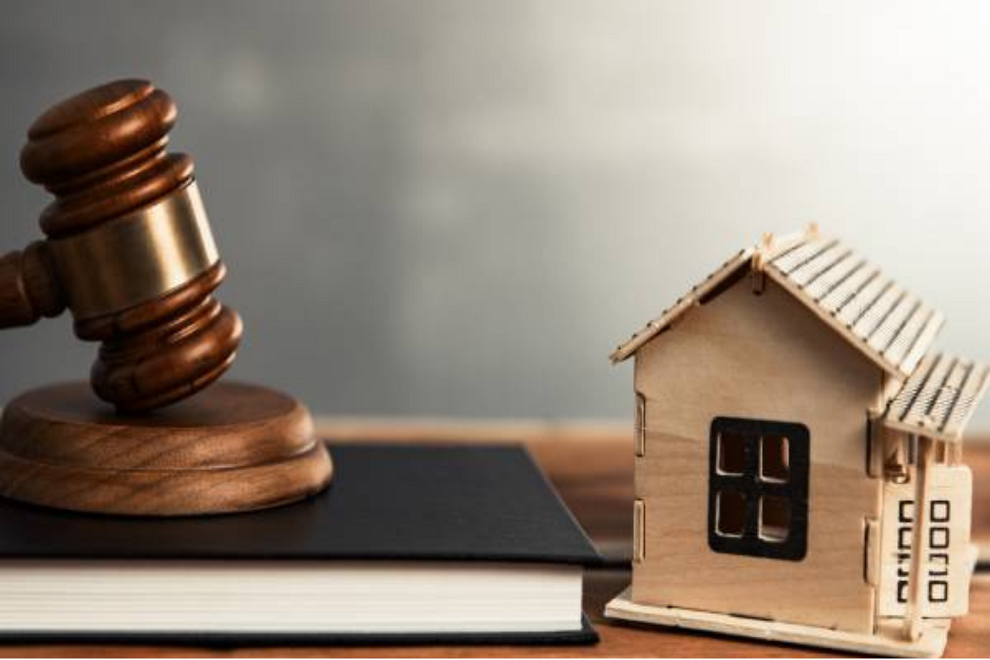 EXTINCION DE DOMINIO CONCEPTOS BASICO